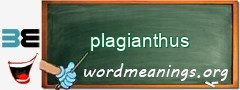 WordMeaning blackboard for plagianthus